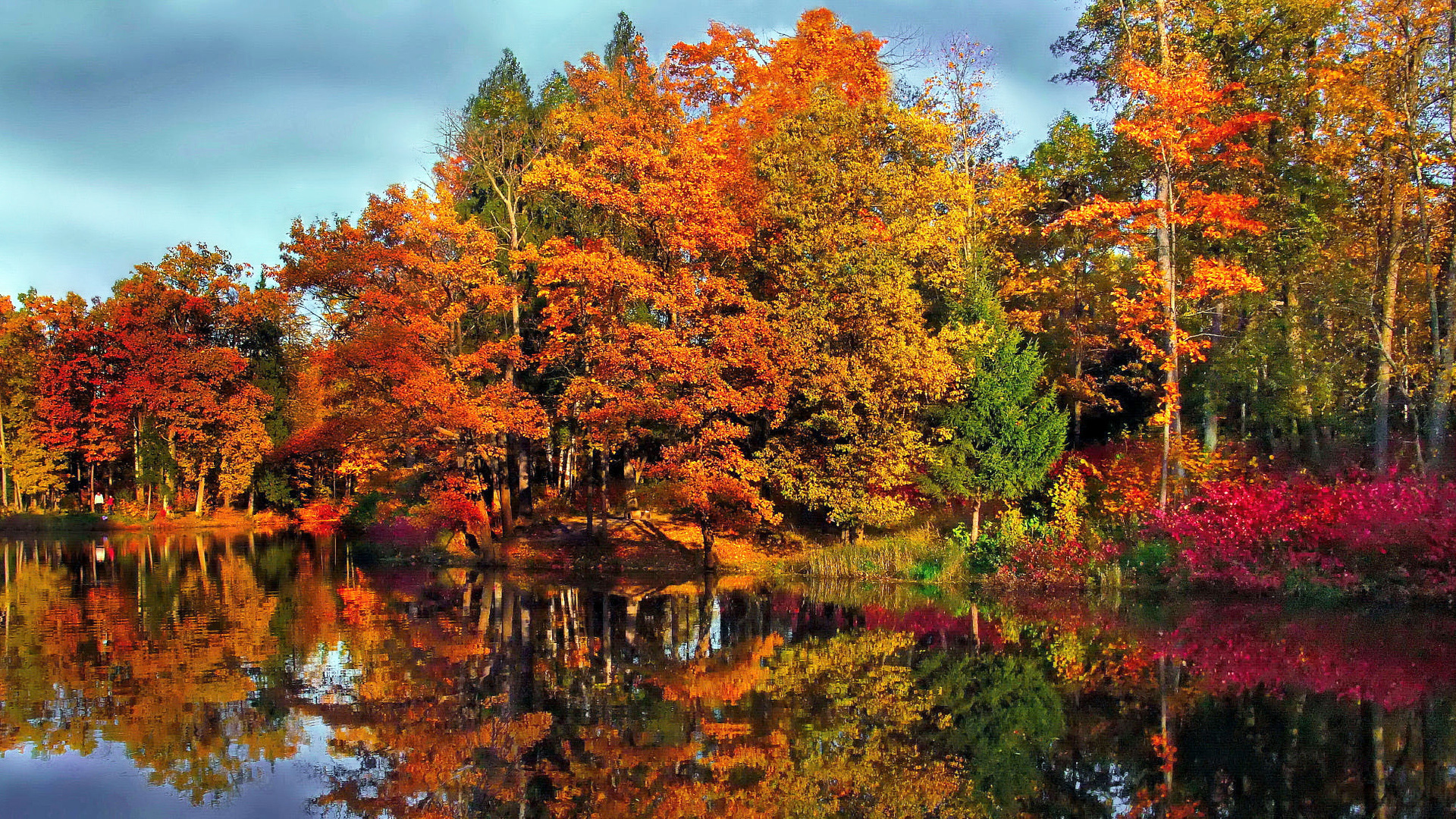 Осенью очень красиво. Красивая осень. Природа осень. Осенний лес. Осень фото красивые.